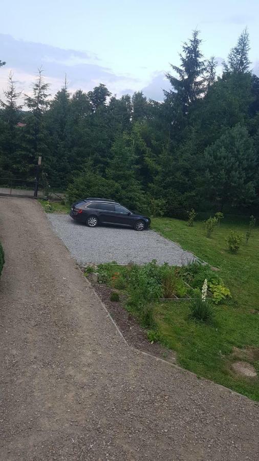 Domki Bieszczady Villa Uherce Mineralne Dış mekan fotoğraf